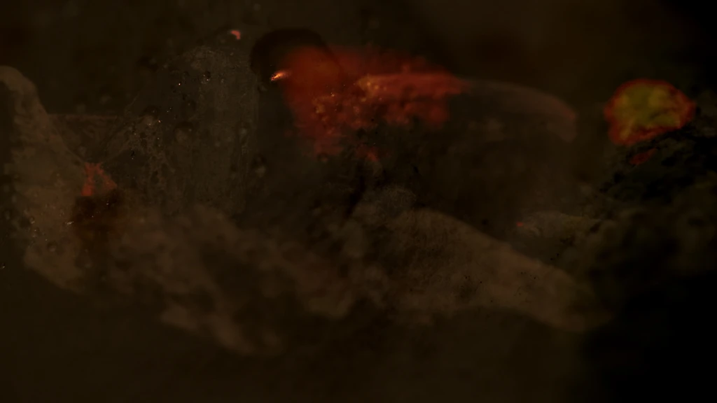 About Mirages and Stolen Stones still4